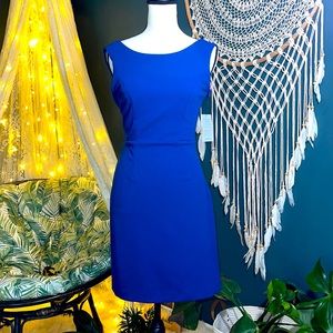 NWT Betsey Johnson Scuba Crepe Sheath Dress